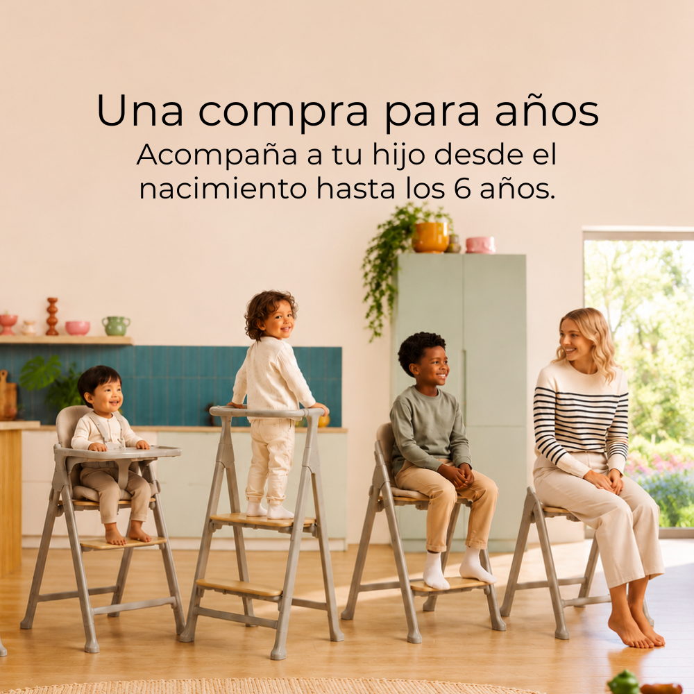 Trona evolutiva 3 en 1 Vida